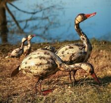 Metal goose garden for sale  CHELTENHAM