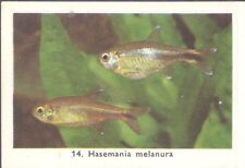 Rizla exotic aquarium for sale  MATLOCK