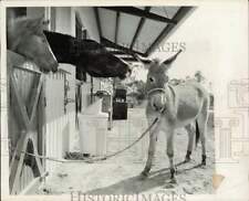 1965 press photo for sale  Memphis