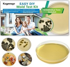Mold test kit for sale  Mineral Wells