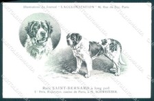 Cartolina animali cane usato  Gambolo