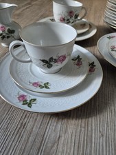 Feines porzellan kaffeeservice gebraucht kaufen  Aukrug
