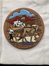 Lanzarote souvenir rarität gebraucht kaufen  Norden