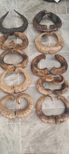 Pairs ram horns for sale  CHIPPENHAM