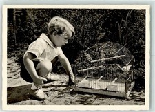 39281902 vogelkaefig wellensit gebraucht kaufen  Eimeldingen