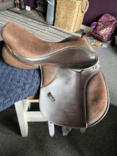 Thorowgood brown pony for sale  PRESTON
