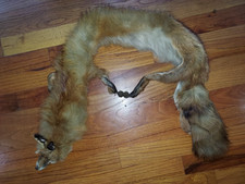 Vintage genuine fox for sale  Mogadore