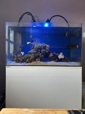 Marine fish tank for sale  BENFLEET
