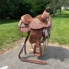 Imperial textan horse for sale  Columbus