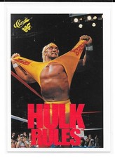 1989 classic wwf d'occasion  Expédié en Belgium