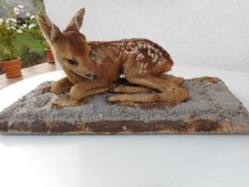 Präpariertes rehkitz rehkitzp gebraucht kaufen  Großbottwar