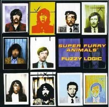 Super furry animals usato  Latina