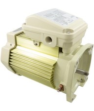 Motor pentair wfxf for sale  Hamilton
