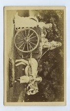 Children pony cart for sale  SOUTH MOLTON