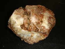 Old antelope agate for sale  Dyer