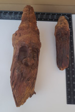 Hand carved tree for sale  Kingman