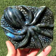 560g natural labradorite d'occasion  Expédié en Belgium