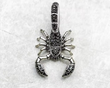 925 silber skorpion gebraucht kaufen  Frankfurt am Main