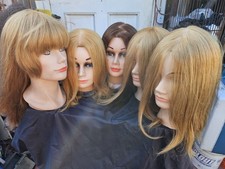 Cosmetology mannequin heads for sale  San Carlos