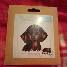 Dachshund sausage dog for sale  BRISTOL