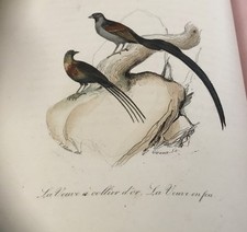 Keepsake histoire naturelle. d'occasion  La Rochefoucauld