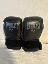 Luva de treinamento Everlast Powerlock 2R - 16 oz preta comprar usado Luva de treinamento Everlast Powerlock 2R - 16 oz preta comprar usado  Enviando para Brazil