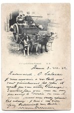 Cpa attelage chiens d'occasion  L'Arbresle