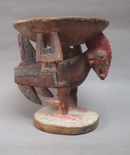 Superb west african for sale  SHREWSBURY