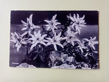 Carte postale genève d'occasion Carte postale genève d'occasion  Saujon