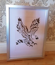 Pheasant feather pictures for sale Pheasant feather pictures for sale  DONCASTER