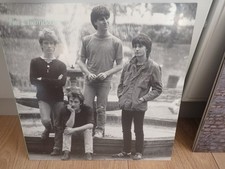Chameleons tony fletcher for sale  CARLUKE