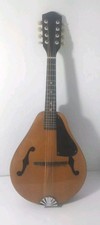 Vintage mandolin made for sale  Martinsville