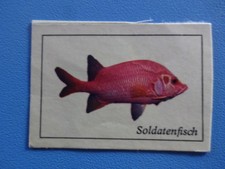 aufkleber 80er gebraucht kaufen  Weiding