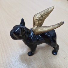 Small black frenchie for sale  GRIMSBY