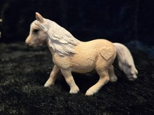 shetland mare pony for sale shetland mare pony for sale Goldendale