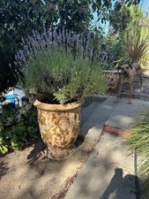 Pair vintage iconic for sale  Yountville