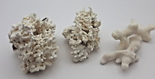 Natural white coral for sale  Payson
