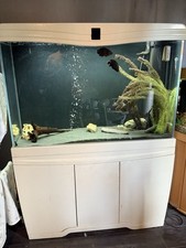 300l tropical fish for sale  NORTH WALSHAM