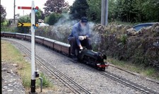 T217. ryedale model for sale  BARNSLEY