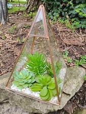 Pyramid terrarium planter for sale  Danville