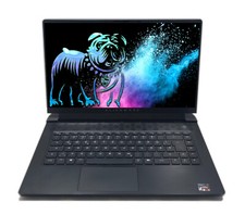 Dell alienware m15 gebraucht kaufen  Magdeburg
