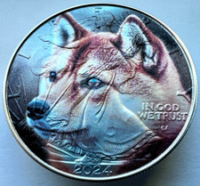 Shiba inu dog for sale  Issaquah