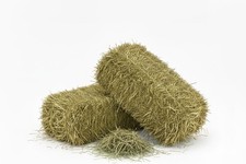 Fieno naturale per usato  Bella