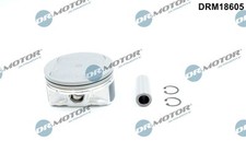 Motor automotive drm18605 gebraucht kaufen  Bautzen-Umland II