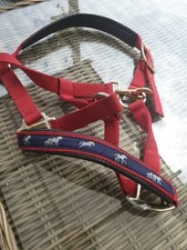Brand new pony for sale  NEWPORT