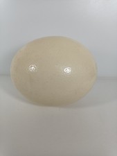 Blown ostrich egg for sale  LONDON