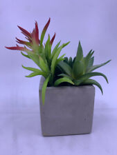 Faux succulent grey for sale  Leominster