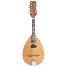 Timothy mandolin pm600 for sale  LEAMINGTON SPA