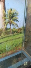 Terrarium zubehör h900 gebraucht kaufen  Ehrenberg