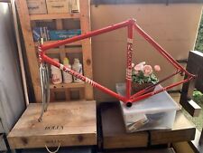 Rossin record red usato  Firenze